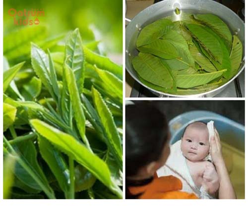 Dùng lá tắm trị rôm sảy cho bé là phương pháp được cha mẹ ưu ái lựa chọn