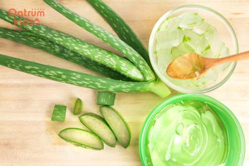 Trị rôm sảy bằng nha đam cũng là một phương pháp hay