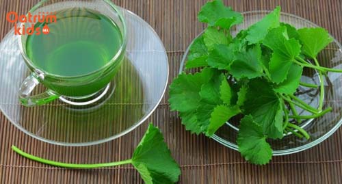 Cho trẻ uống nước rau má mỗi ngày để loại trừ rôm sảy