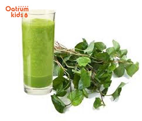 Rau diếp cá không chỉ là một loại thức uống vô cùng bổ dưỡng mà nó còn có tác dụng trị táo bón rất hiệu quả