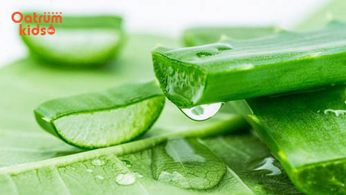 chữa vết trầy xước ở trẻ bằng nha đam