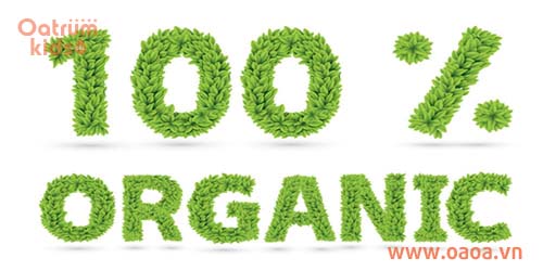 Thuốc mỡ trị hăm cần được chiết xuất từ thảo dược tự nhiên, an toàn tuyệt đối cho bé