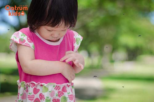 Không nên để trẻ chơi đùa ở những khu vực ẩm ướt, rậm rạp