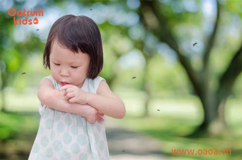 Do đặc tính khí hậu, trẻ ham chơi nên bị côn trùng đốt