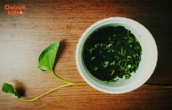 Bài thuốc trị mụn nhọt bằng lá diếp cá được nhiều người sử dụng