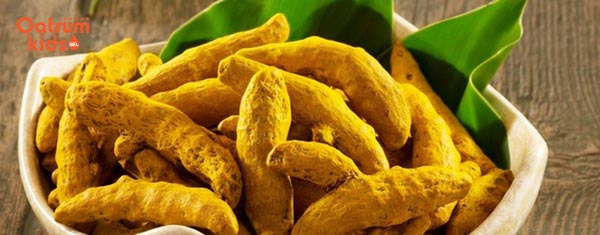 Tinh chất Berberine - thành phần chủ đạo của Oatrum Kids