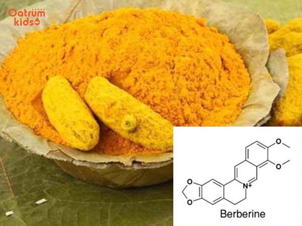Berberine – Kháng sinh thực vật giúp loại trừ mụn hiệu quả