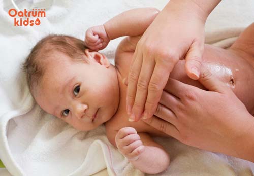 Dầu khuynh diệp hay dầu tràm trà có tác dụng kháng khuẩn tự nhiên