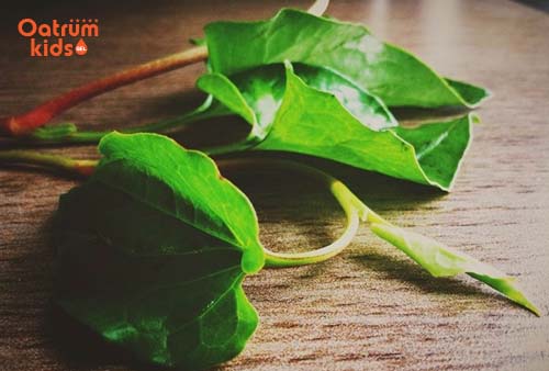 Rau diếp cá giúp chữa mụn nhọt sưng tấy ở trẻ