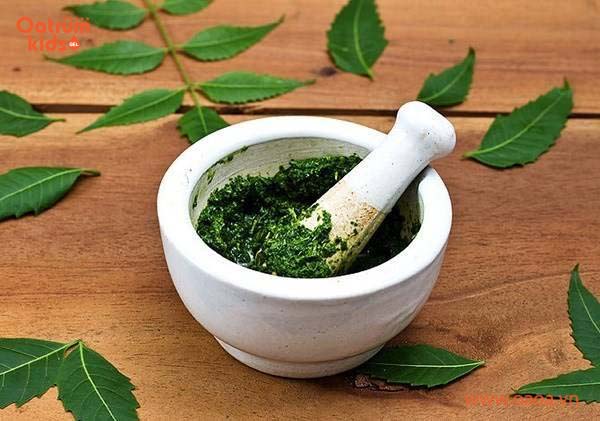 Đắp lá cây không rõ nguồn gốc chỉ khiến mụn nhọt trầm trọng hơn