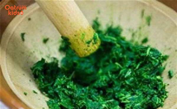 Không tự ý đắp lá cây lên mụn nhọt của trẻ