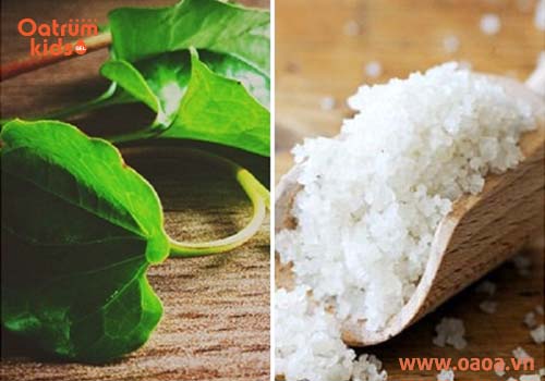 Cho rau diếp cá cùng chút muối vào cối giã nát sau đó đắp lên vùng da bị mụn của trẻ