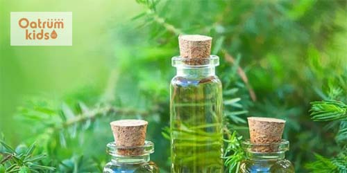 Bí quyết trị ho cho trẻ sơ sinh bằng dầu tràm