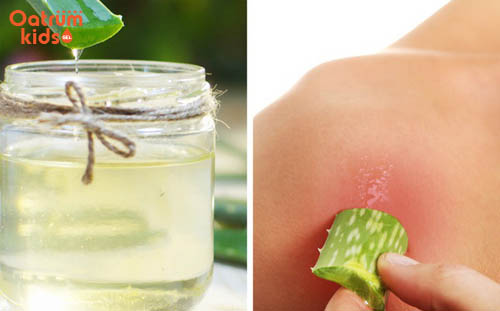 Có nên dùng các loại lá đắp lên vết trầy xước của trẻ?