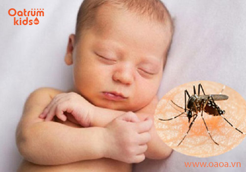 Dấu hiệu xác định chính xác loại côn trùng nào đã cắn trẻ