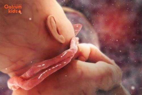 Dây rốn quấn cổ: Tất cả những điều mẹ nên biết để bảo vệ con