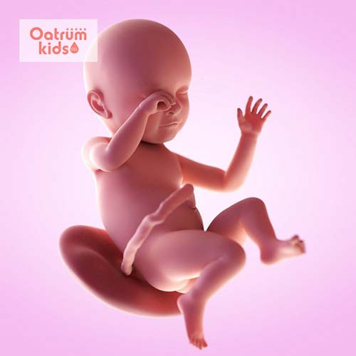Sự phát triển của thai 39 tuần tuổi và những thay đổi của mẹ