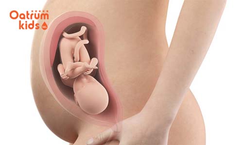 Thời điểm thai 32 tuần tuổi bé sẽ thay đổi như thế nào?
