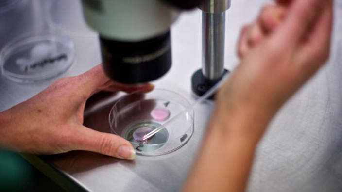 Thụ tinh trong ống nghiệm - Thụ tinh nhân tạo