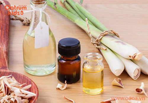 Tinh dầu chống muỗi khiến muỗi sợ mất dép